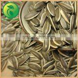 Vegetable Sunflower Seeds Oil For Human Consumption thumbnail-3