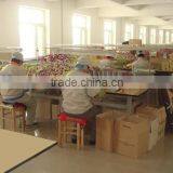 Harbin Evergreen Industrial Co., Ltd. company overview - view 2 thumbnail