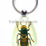 Beetle Pendant Insect keychain