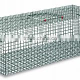 Cage trap for pigeons and other birds