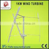 domestic 1KW vertical axis green energy spiral wind power