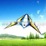 Dual Line Delta Stunt Kites - Straight Edge Kites thumbnail-1