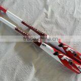 2015 OEM Two Piece Baseball Bat thumbnail-1