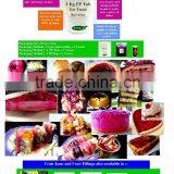 Dragon Fruit Jam thumbnail-2