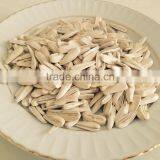 Sunflower Seeds From Turkey thumbnail-1