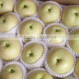 Golden Pear thumbnail-4