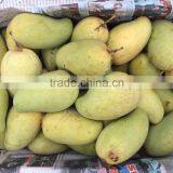 100% High Quality Frozen Mango Diced Cut From Thailand thumbnail-3