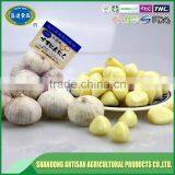 Good Price of Single Clove Garlic Packing With ISO9001 Certificate thumbnail-3