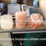 Animal Salt Licks thumbnail-1