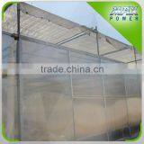 Glass/Film/Plastic/PC Sheet Greenhouse thumbnail-5