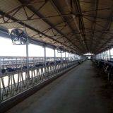 Dairy Cowhouse Hanging Cow Fan thumbnail-4