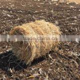 Walking Type Straw Bundling Machine 9YK-8070 thumbnail-3