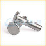 Factory Supply Best Price Stainless Steel Head Solid Rivet thumbnail-3
