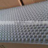 China Manufacture Hot Sell Low Price Black Seedling Tray Wholesale thumbnail-2