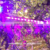 Vanq Grow Light Bar 150w Hydroponics Led Plant Waterproof High Power Greenhouse Lamp thumbnail-1