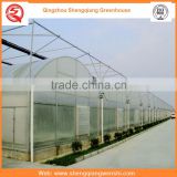 Agriculture equipment multi-span 10.8m plastic PE film agriculture greenhouse for popular sale