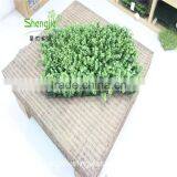 SJLJ13583 Artificial Grass Plastic Green Hedge for Sale thumbnail-2