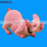 Pig Shaking Head thumbnail-1