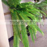 Artificial Fern thumbnail-2
