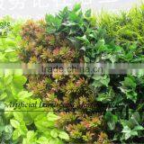 Artificial Plant for Office Building or Shopping Mall Decoration thumbnail-3