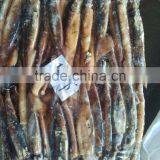 Wholesale Fresh Frozen Illex Squid Price thumbnail-2