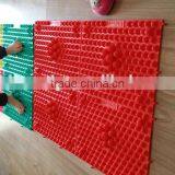 2015 Latest Design TPE Shiatsu Cushion for Foot Fitness Shiatsu Sheet thumbnail-4