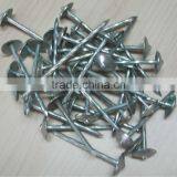 Galvanized Umbrella Head Roofing Nails From Guangzhou Supplier thumbnail-1
