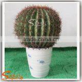 China Supplier Hot Sale Artificial Mini Cactus Plant Bonsai for Indoor and Outdoor thumbnail-2