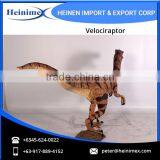 Realistic Dinosaur Velociraptor for Sale thumbnail-3