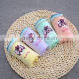 Cheap Price Colorful Underwear Teen Girls Cartoon Briefs Comfortable Panties thumbnail-4