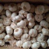 Chinese Natural 5cm Red Garlic Loose Packing In 10kg Box thumbnail-3