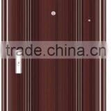 metal door (LT-012)