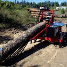 Petrol Engine Agricultural Machinery Wolverine M Portable Firewood Processor With Log Table Lifter thumbnail-2