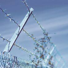 High Tensile Barbed Wire Fence Galvanized Barb Wire Roll thumbnail-5