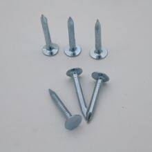 China Factory Flat Head Roofing Nails 1kg Box With Warranty and OEM Support thumbnail-5