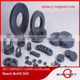 China C8 Ferrite magnets for speakers