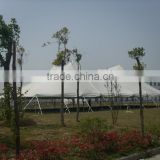 Hot Sale 60x90 factory direct sales tents