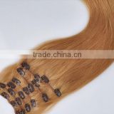 top quality russian hair 180g remy hair extensions clip                        
                                                Quality Choice