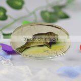 Precious Crystal Glass Dome Paperweight Shap-07 thumbnail-1