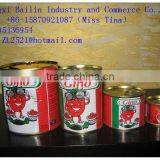 Factory Sell Metal Tin 210g Canned ST-RITA Tomato Paste to Africa Market Looking for Distributors in Africa thumbnail-5