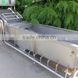 Hot sale vegetable washing machine in factory