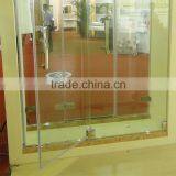 Glass Door Price Screen Shower Door GD9011 thumbnail-5