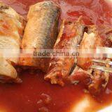 Oval Can Best Canned Sardine in Toamto Sauce Sardinas en Lata en Salsa de Tomate (125g/155g/425g) thumbnail-4