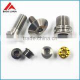 GR2 GR5 High Precision Low Price Titanium Fastener thumbnail-1