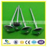 Smooth Shank Roofing Nail High Quality Made in China thumbnail-3