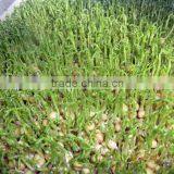 2016 Popular Animal Feeding Machine / Animal Machine thumbnail-1