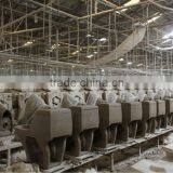 Restaurant Ceramic Building Material Sanitary Ware One Piece Toilet Square thumbnail-4