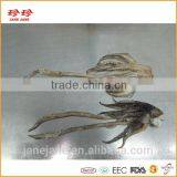 Frozen Squid Tentacle - Ommastrephes Bartrami thumbnail-2