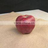 New Crop New Season Huaniu Apple Fresh Apple China Gansu Tianshui Huaniu Apple thumbnail-6
