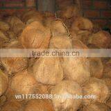 Matured Coconut thumbnail-3